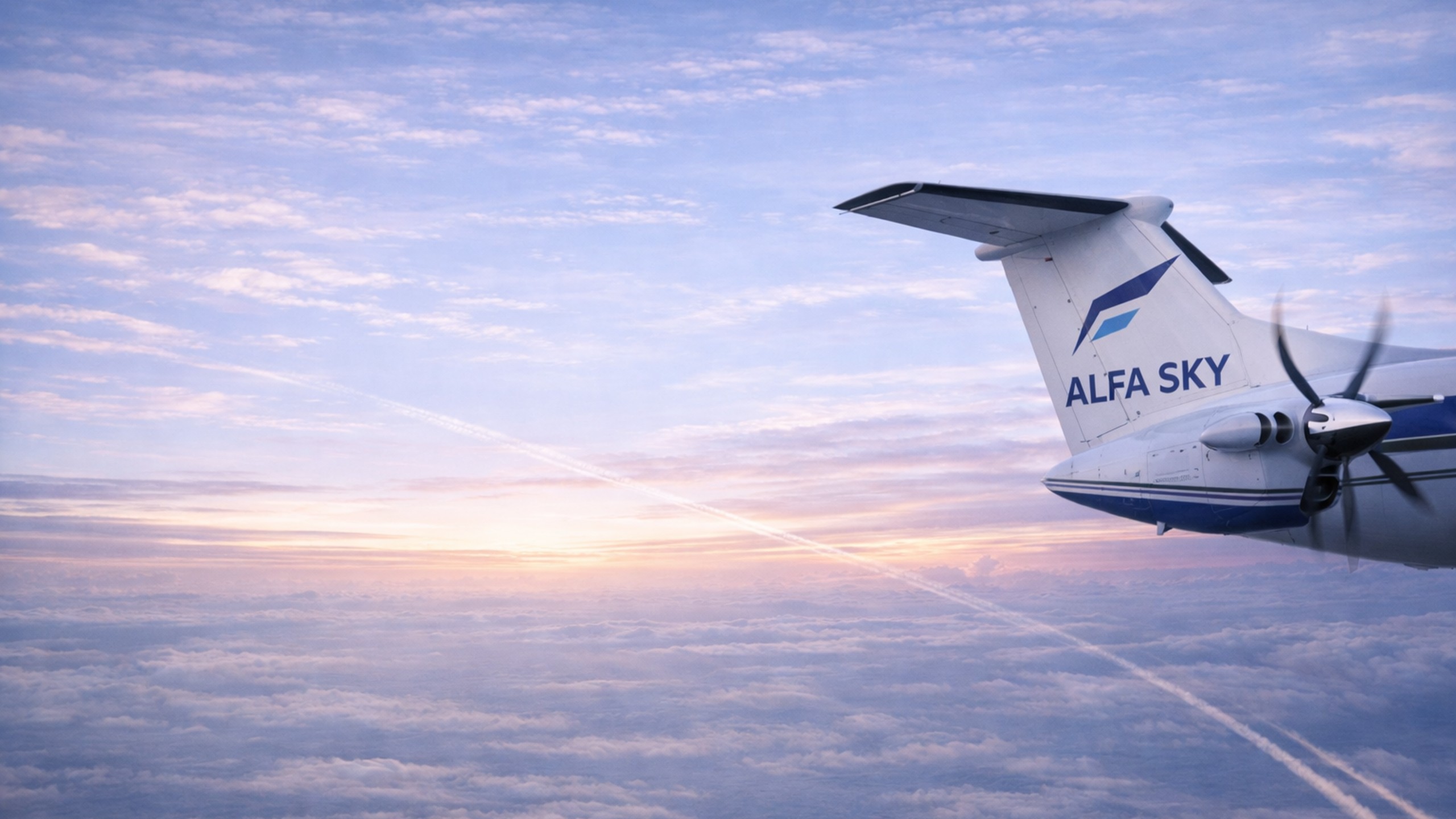 Servicios para el Estado